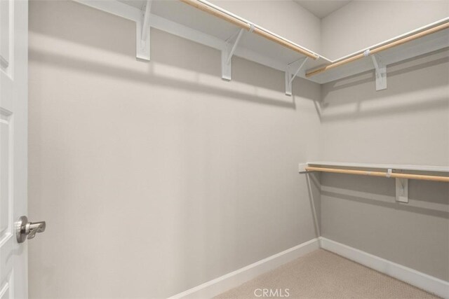 walk in closet featuring carpet floors