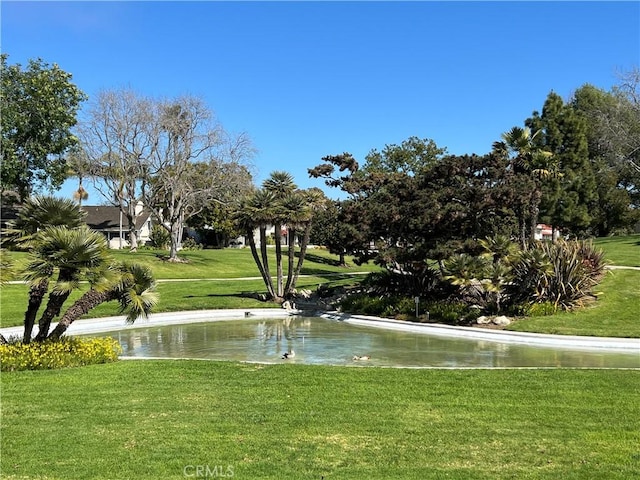 view of community featuring a lawn