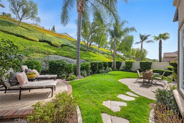 view of yard with a patio and a fenced backyard