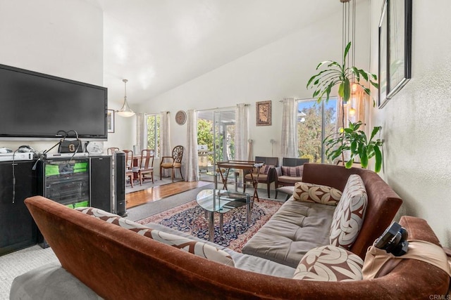 living area featuring high vaulted ceiling