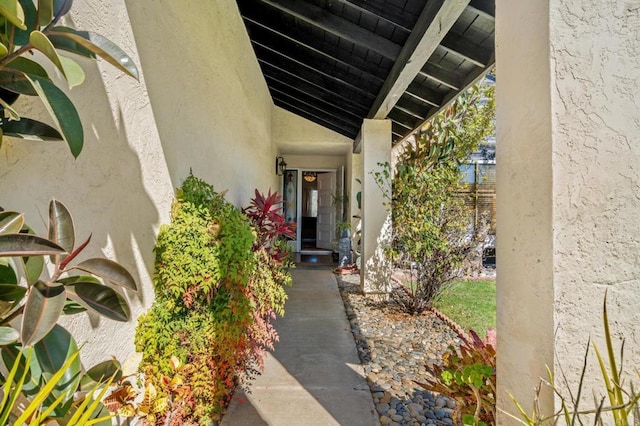 view of exterior entry with stucco siding