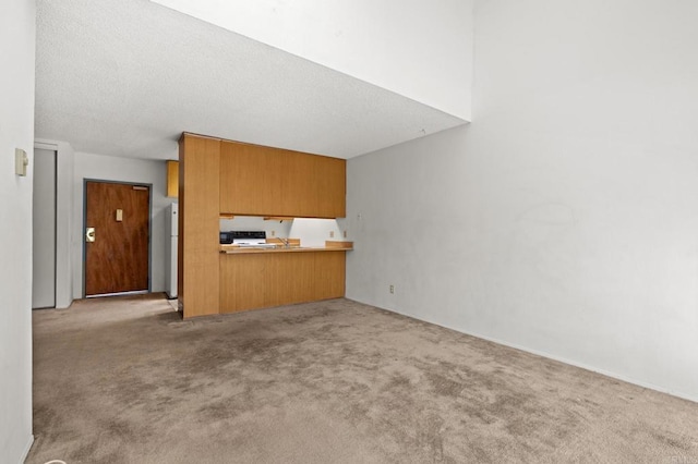 unfurnished living room featuring light carpet and a textured ceiling