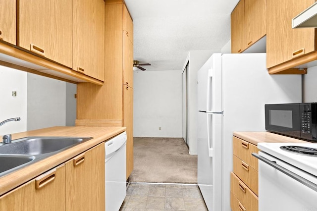 kitchen featuring ceiling fan, light carpet, white appliances, a sink, and light countertops