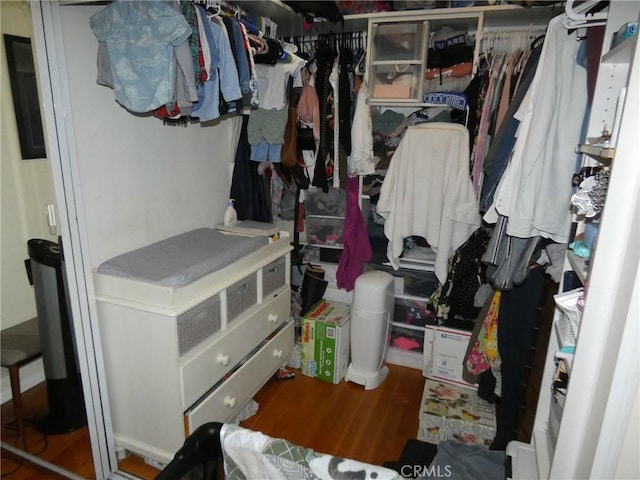 walk in closet featuring wood finished floors