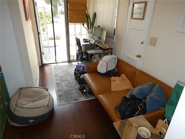 sitting room featuring dark wood-style flooring