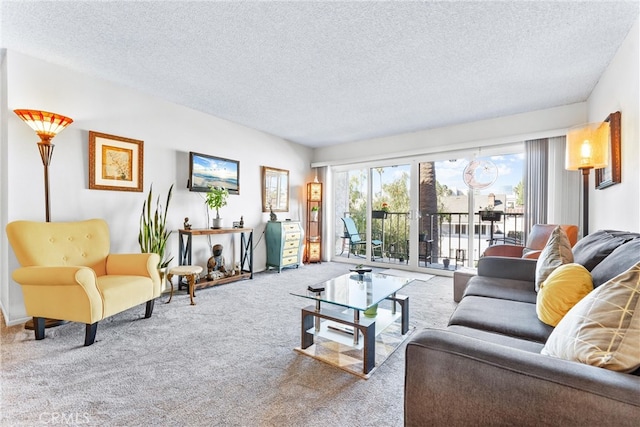 living room with carpet and a textured ceiling