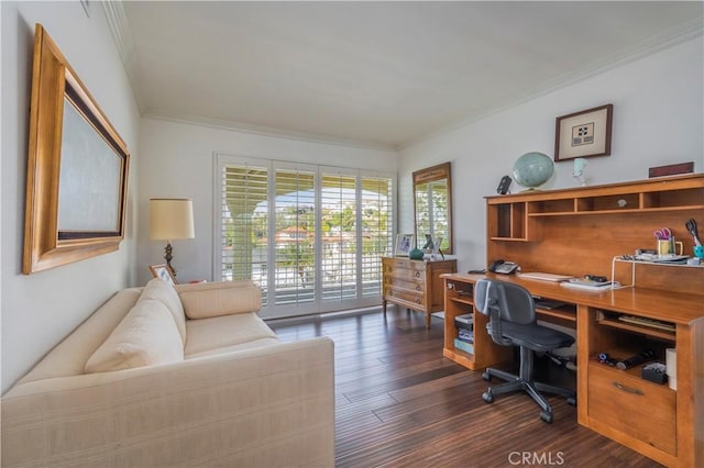 office space featuring dark wood-style floors and crown molding