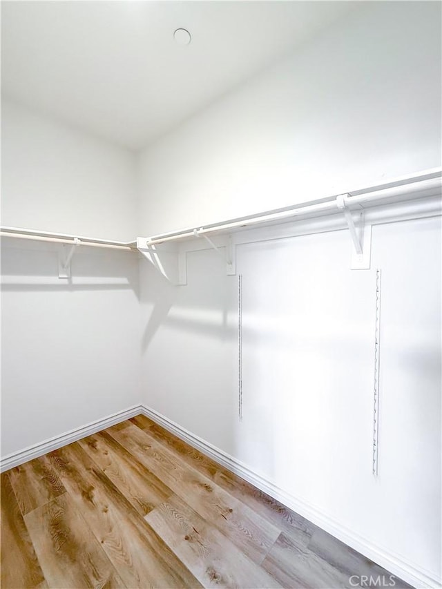 spacious closet featuring wood finished floors