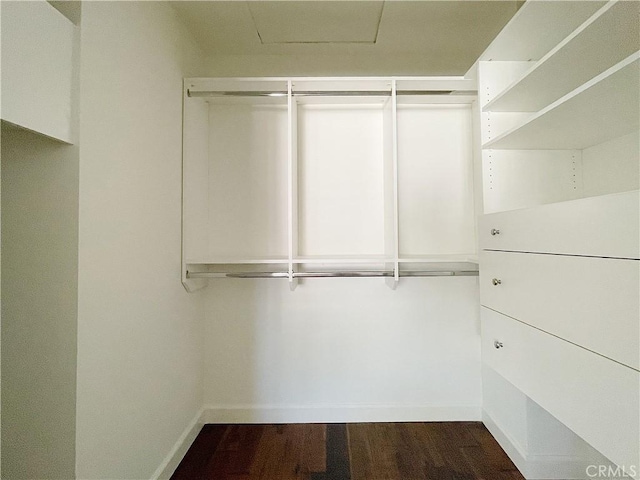 walk in closet featuring dark wood-type flooring