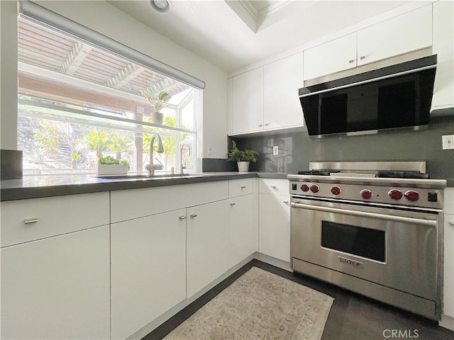 kitchen with dark countertops, decorative backsplash, white cabinetry, premium range, and a sink