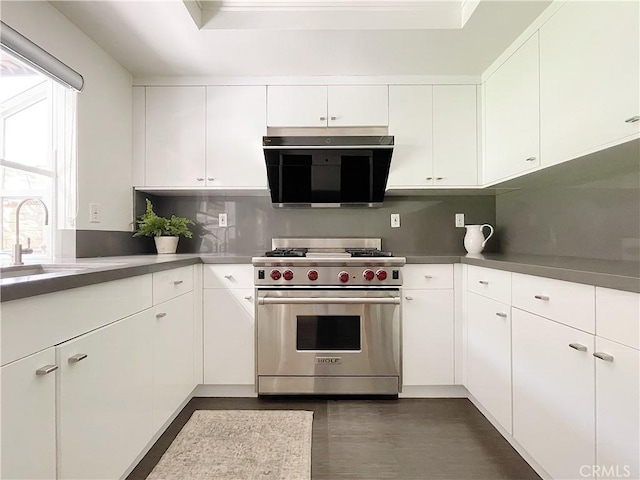 kitchen featuring luxury range, a sink, white cabinetry, and range hood