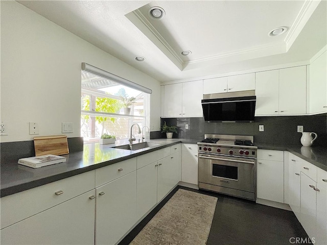 kitchen with designer stove, a sink, white cabinets, a tray ceiling, and dark countertops