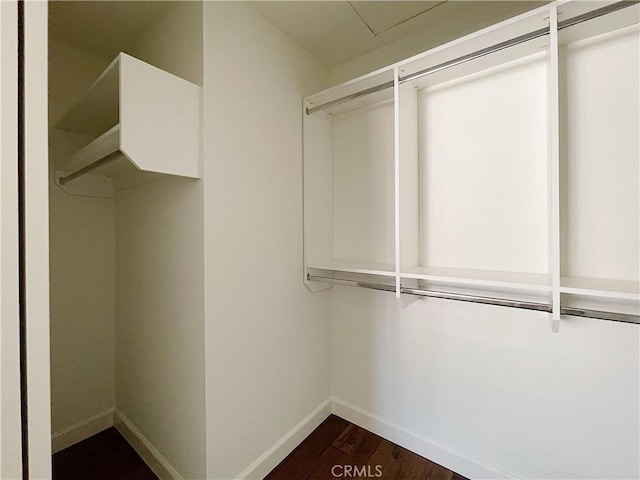 walk in closet featuring dark wood-style floors