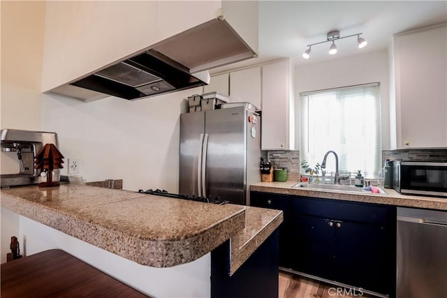 kitchen with appliances with stainless steel finishes, premium range hood, a sink, and backsplash