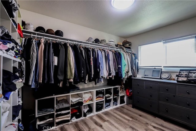 walk in closet with wood finished floors