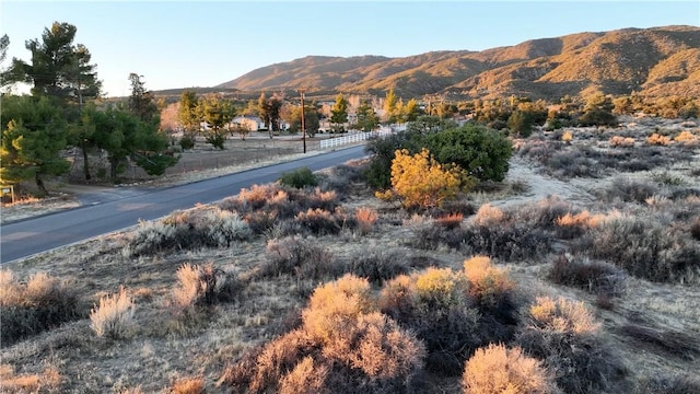 0 Bohlen, Anza, CA 92539