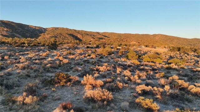 0 Bohlen, Anza, CA 92539