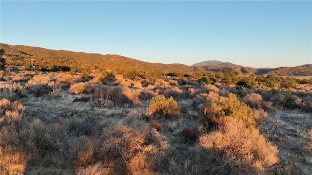 0 Bohlen, Anza, CA 92539