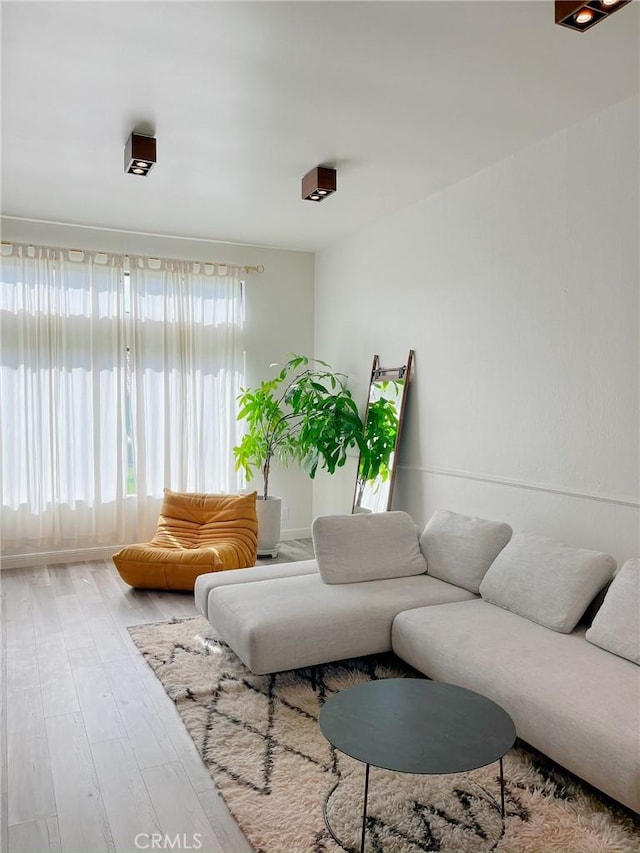 living area featuring wood finished floors