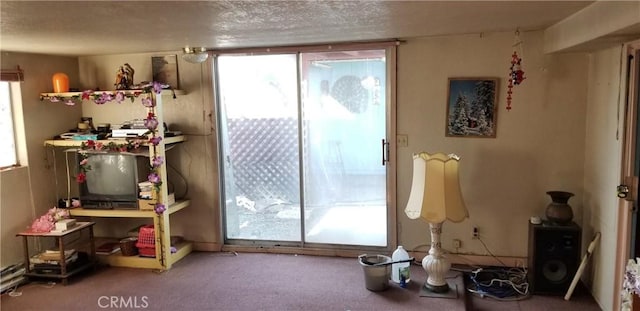 interior space with carpet floors and a textured ceiling