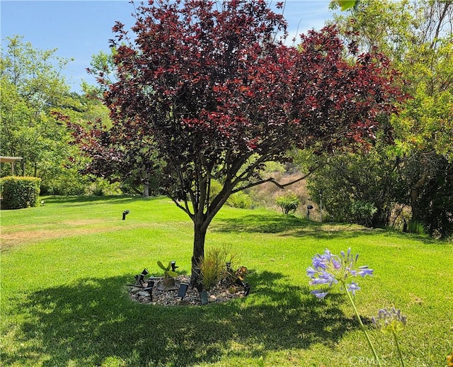 22352 Heritage Pass Pl, Chatsworth, CA 91311 - photo 18