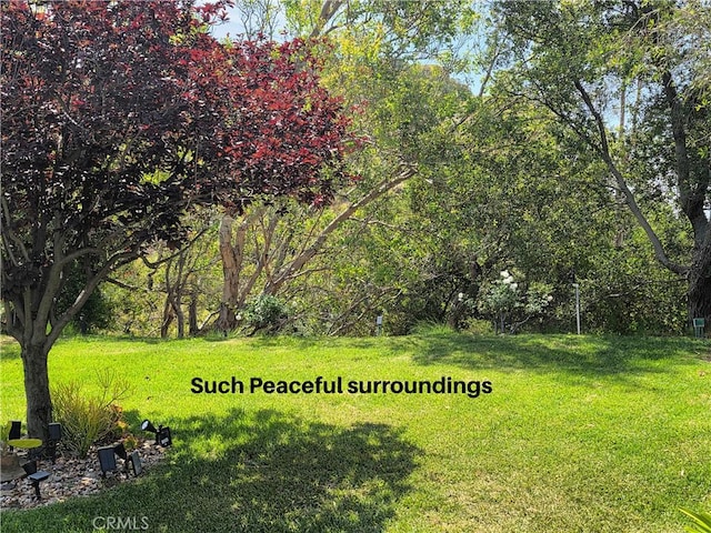 22352 Heritage Pass Pl, Chatsworth, CA 91311 - photo 20