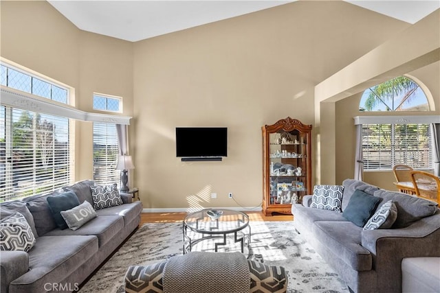 living area with a high ceiling, wood finished floors, and baseboards