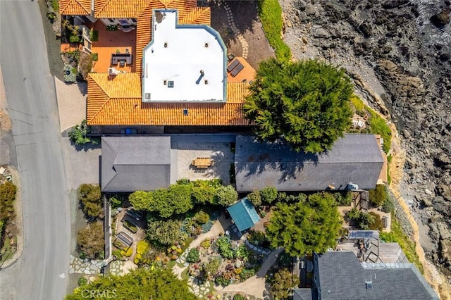 bird's eye view