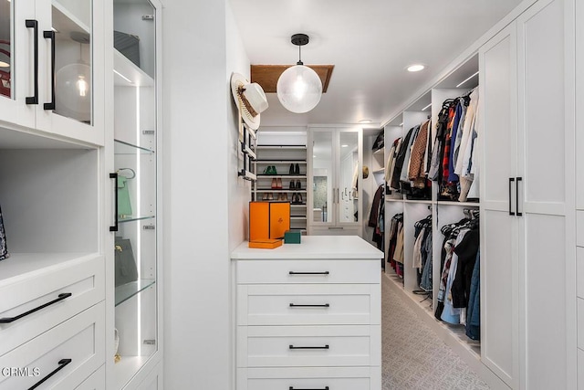 view of walk in closet