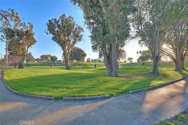 view of home's community featuring a yard