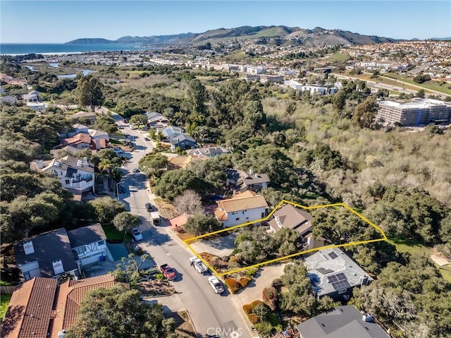 drone / aerial view featuring a mountain view