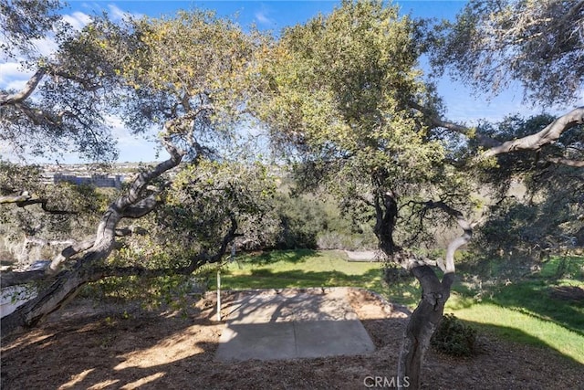 view of yard featuring a patio