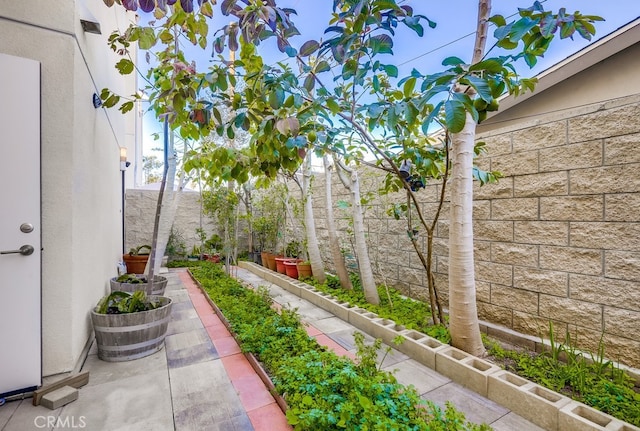 view of yard featuring a patio and a fenced backyard