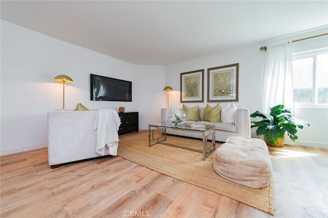 living room with baseboards and wood finished floors