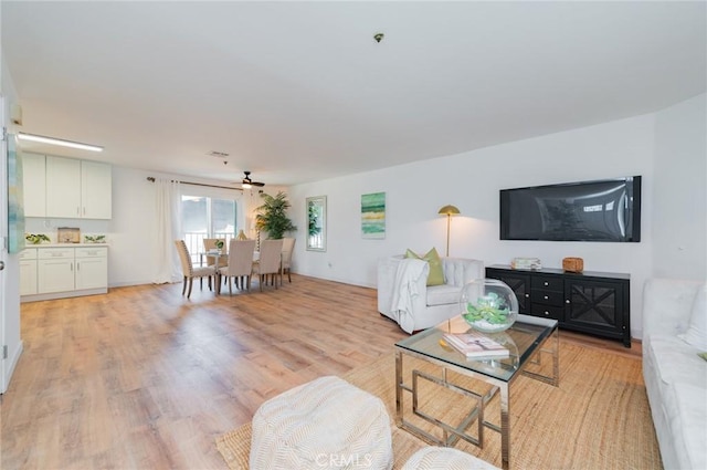 living room featuring light wood finished floors