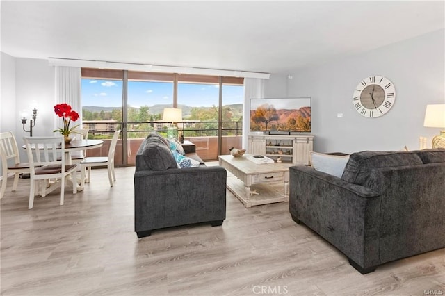 living area featuring light wood finished floors and floor to ceiling windows