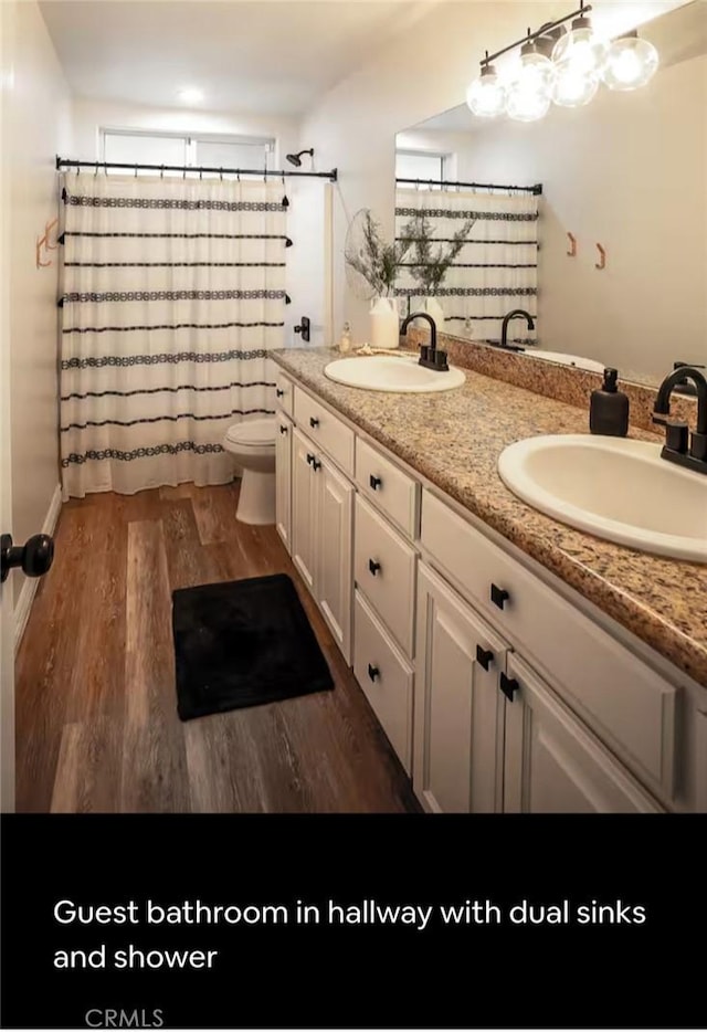 full bathroom featuring double vanity, a sink, and wood finished floors