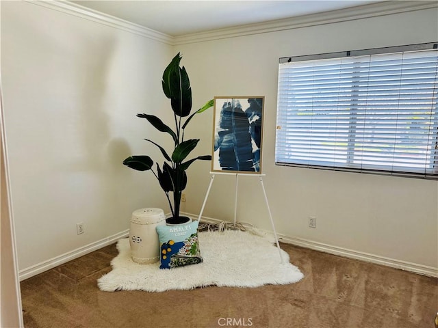 interior space featuring ornamental molding, carpet, and baseboards