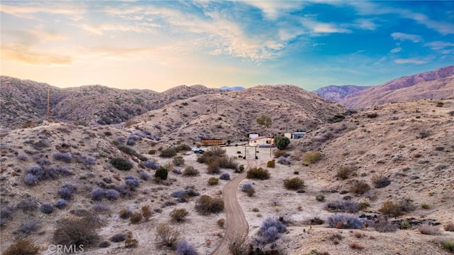 48754 Canyon House Rd, Morongo Valley, CA 92256 - photo 1