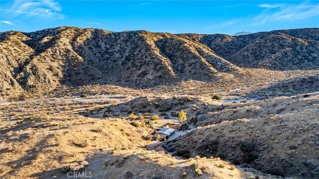 48754 Canyon House Rd, Morongo Valley, CA 92256 - photo 49