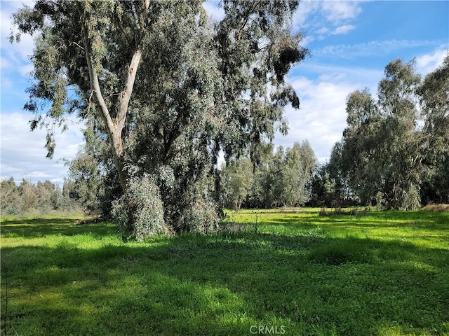 3542 Barham Ave, Corning CA, 96021 land for sale