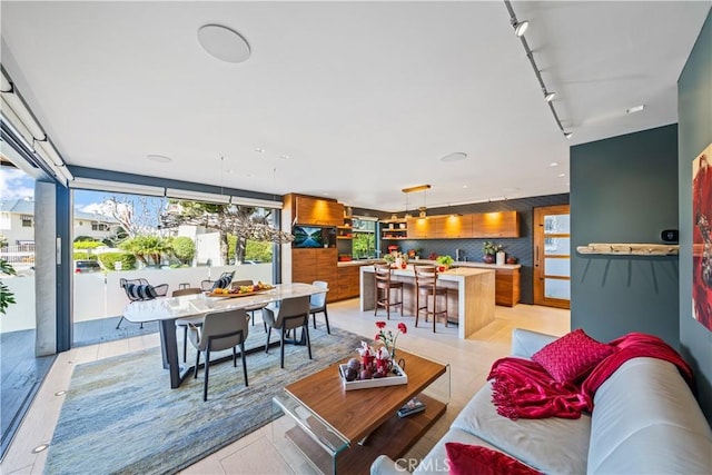 living area with track lighting