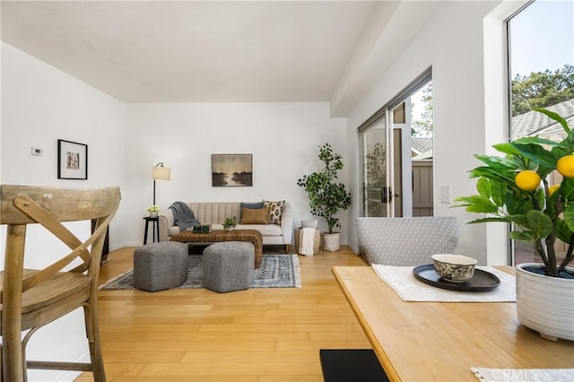 living area with wood finished floors