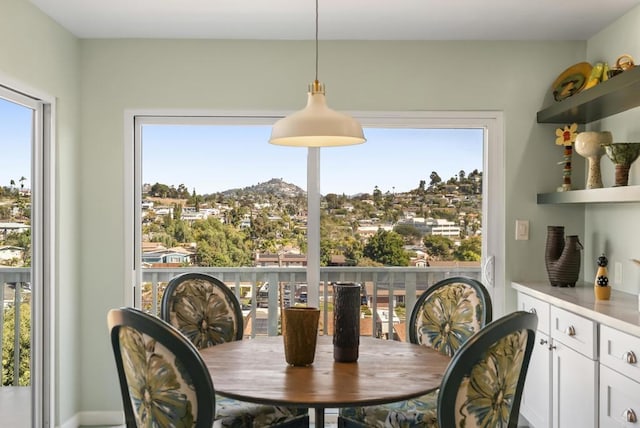 dining room with a wealth of natural light