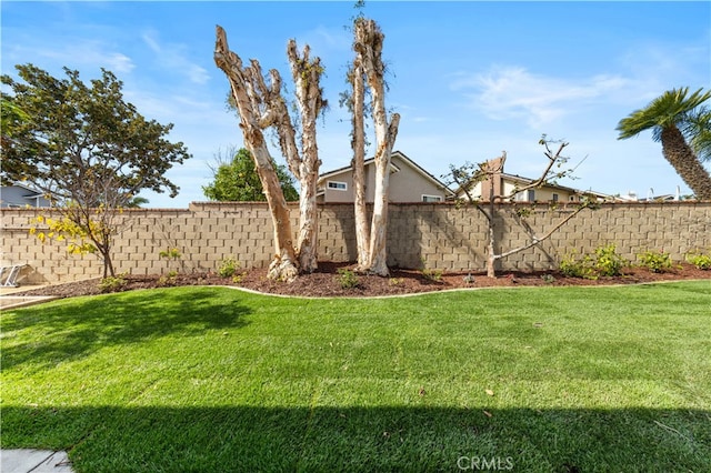 view of yard with a fenced backyard