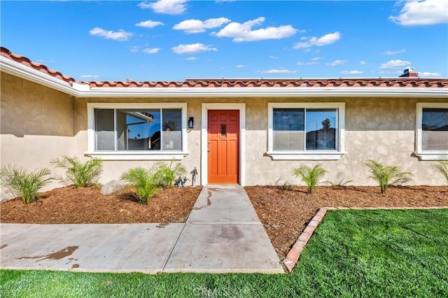 doorway to property featuring a lawn and stucco siding