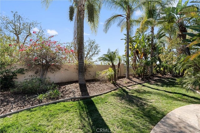 view of yard featuring a fenced backyard