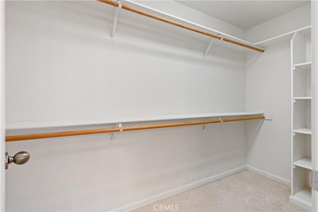 spacious closet with carpet flooring