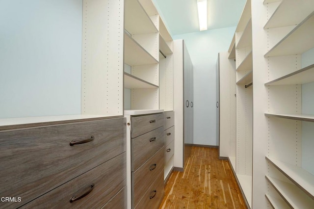 spacious closet with light wood-type flooring