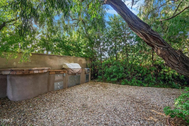 view of yard featuring an outdoor kitchen